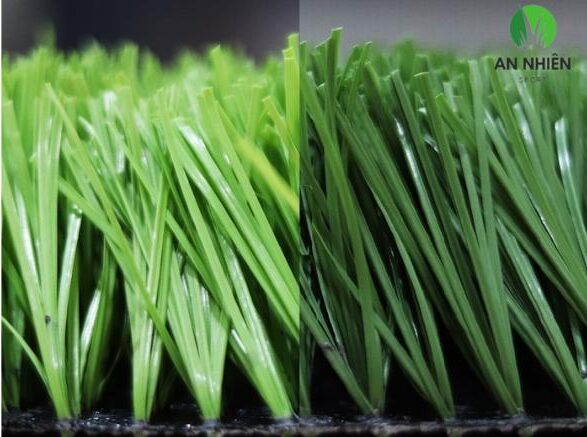 Bảng giá cỏ nhân tạo sân bóng mới nhất